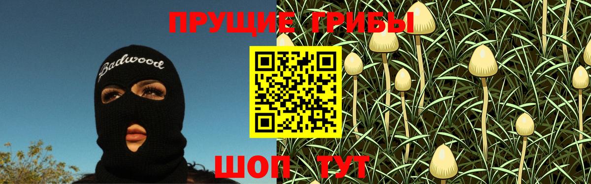 Галлюциногенные грибы Psilocybine cubensis Сургут